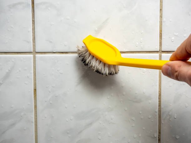 Best Mold Removal Near Me  in Tuntutuli, AK