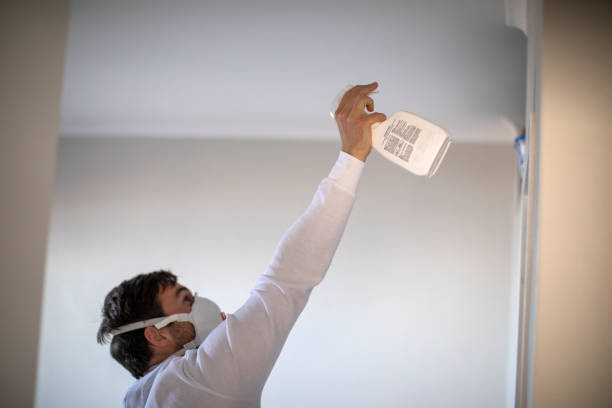 Best Fast Mold Removal  in Tuntutuli, AK