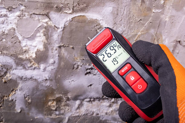 Best Mold Cleaning Services  in Tuntutuli, AK