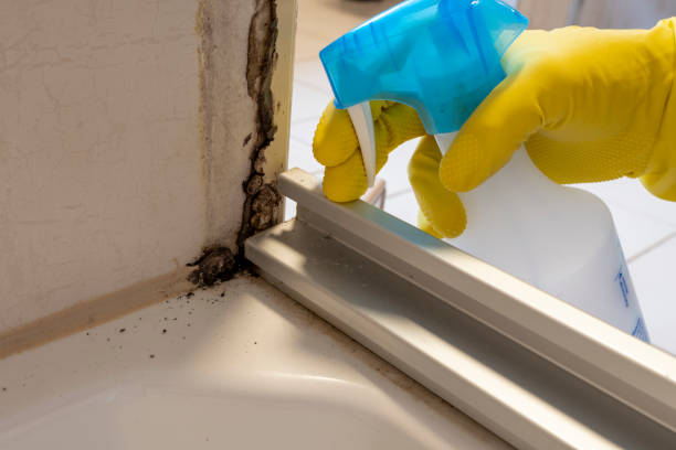Best Crawl Space Mold Removal  in Tuntutuli, AK