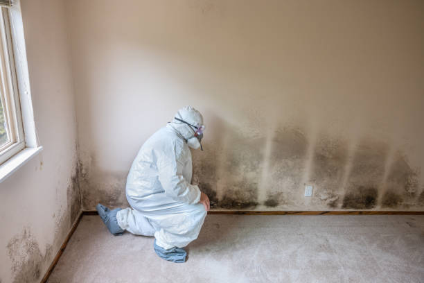 Best Toxic Mold Removal  in Tuntutuli, AK