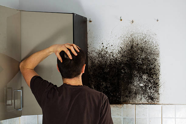 Best Local Mold Removal Service  in Tuntutuli, AK